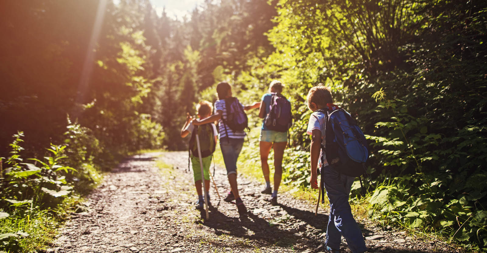 A group of kids hiking on a trail.